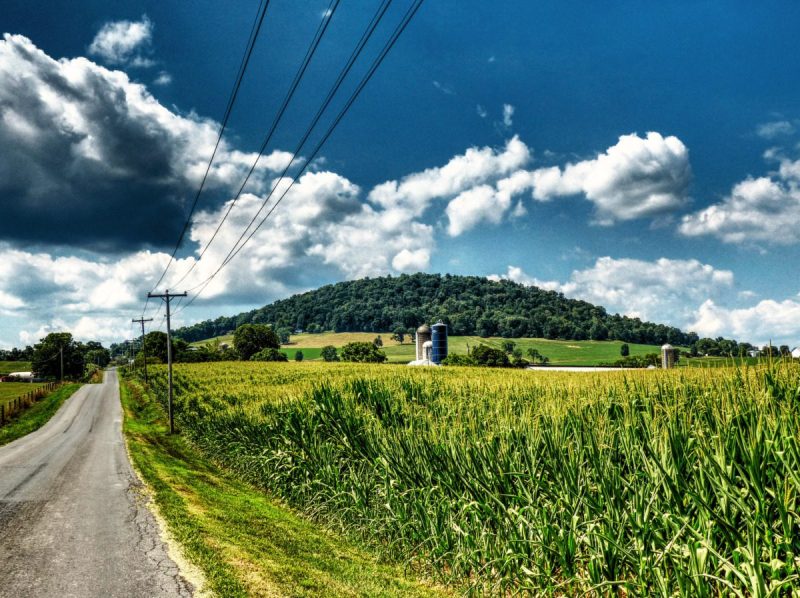 Mole Hill in Rockingham County