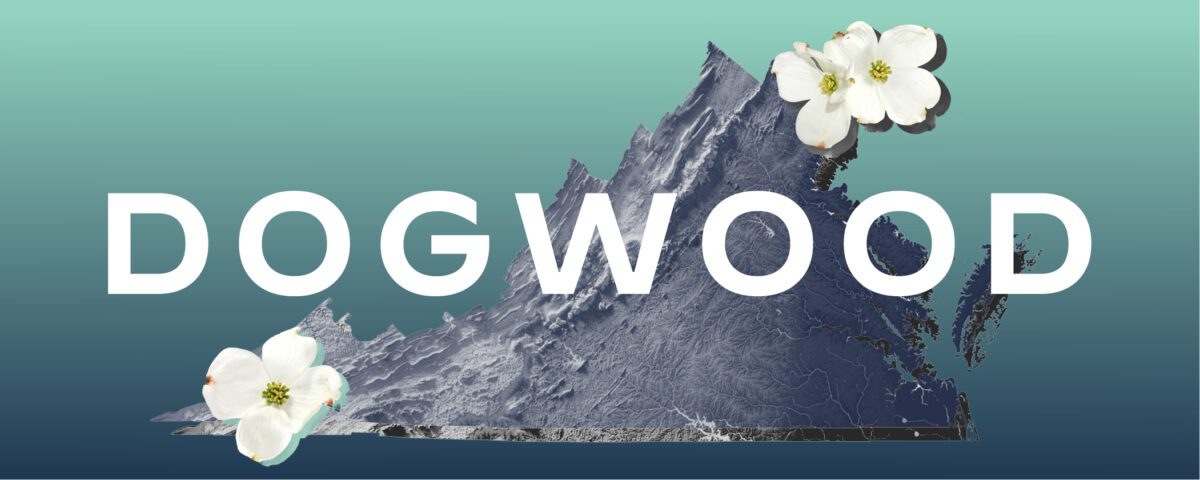 Dogwood Newsletter July 15, 2025 Edition