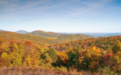 Your 2025 guide to leaf-peeping in Virginia: When & where to see fall colors
