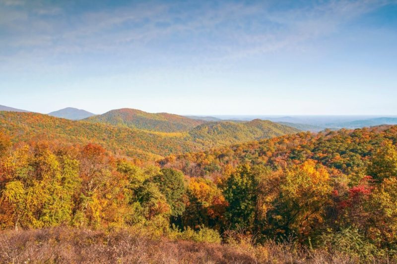 va's shenandoah national park is a great place for fall leaf peeping