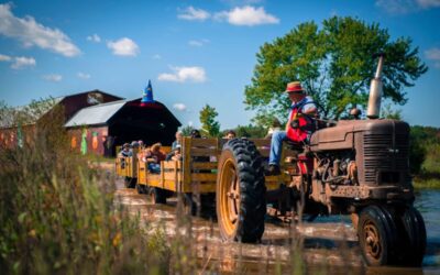 20 fall festivals & events in VA to add to your calendar