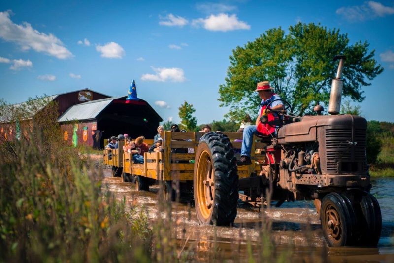 Cox Farms Fall Festival is one of 20 can't miss fall events in VA