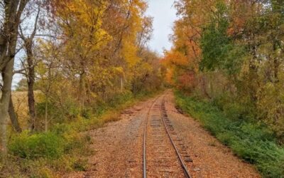 8 scenic autumn train rides in & around Virginia