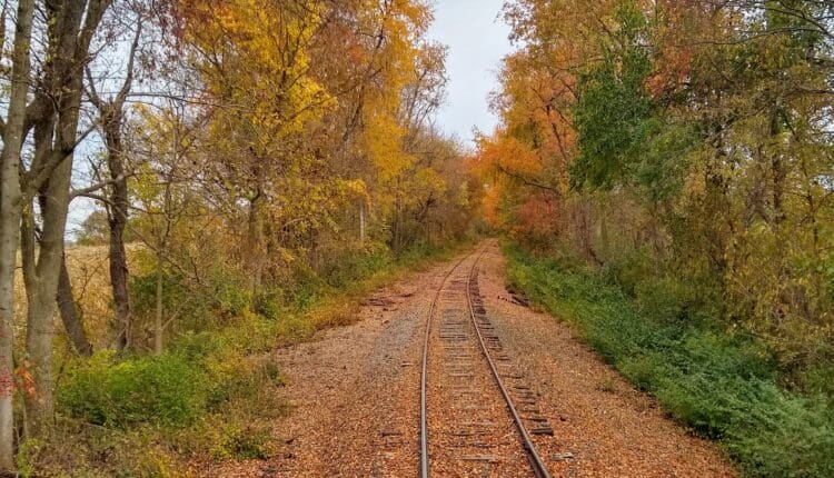 a scenic train ride is a great way to take in the fall foliage in va