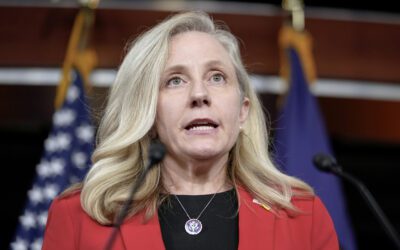 Virginia’s next governor could decide the future of our democracy