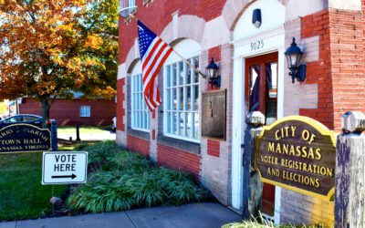 Everything you always wanted to know about voting in VA but were too afraid to ask