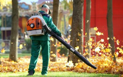 More Virginians leaving leaves, a boon for sustainability, survey finds