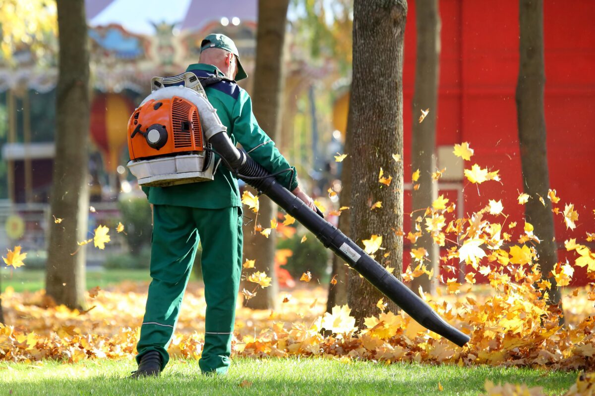 More Virginians are leaving leaves on the ground during the autumn season, providing a boon to local ecosystems and cutting down on methane gas in the atmosphere.