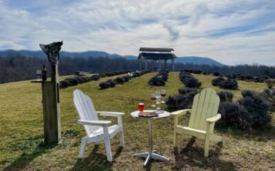 Virginia Wine Country: Your guide to the 8 regions