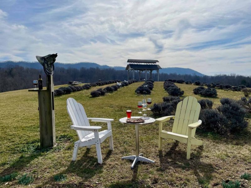 Sip your way through the Virginia wine country, which features distinct wines, rolling vineyards, and rich heritage.