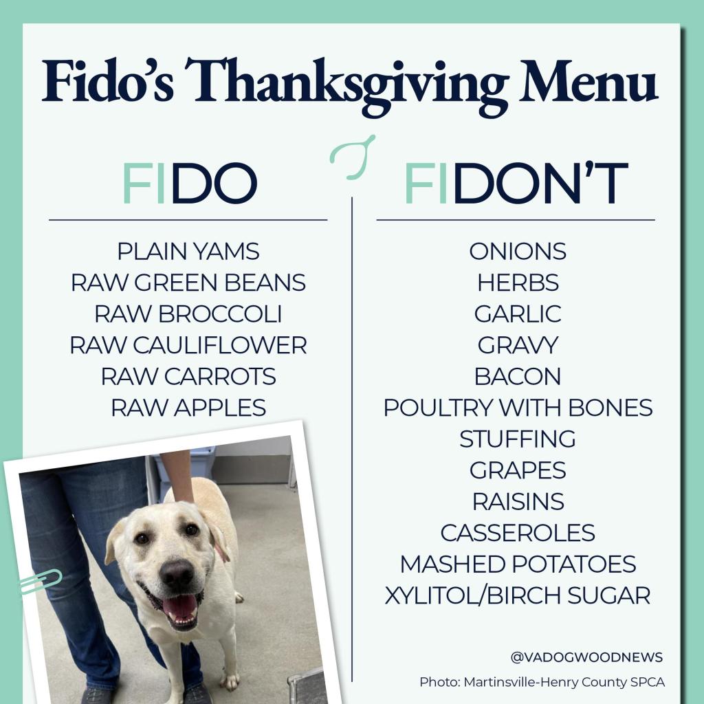 Unlock Virginia’s hidden gems with a free Culture Pass 💎