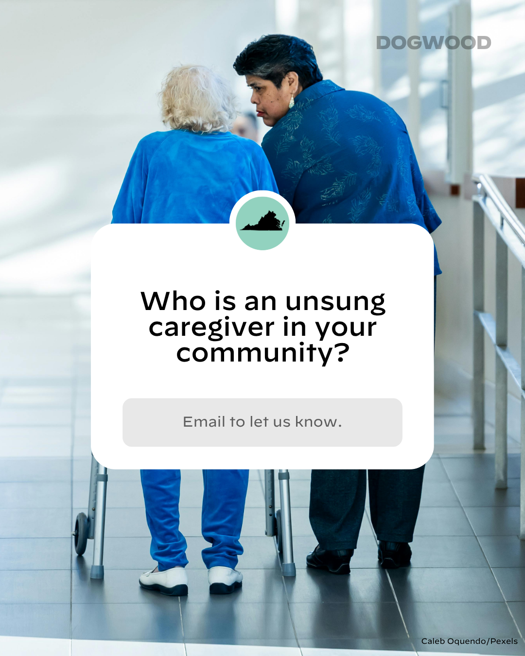 What's the No. 1 reason you voted this year?