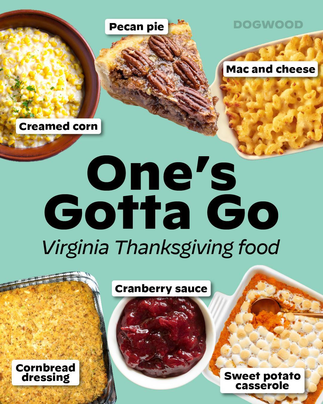 What's the No. 1 reason you voted this year?