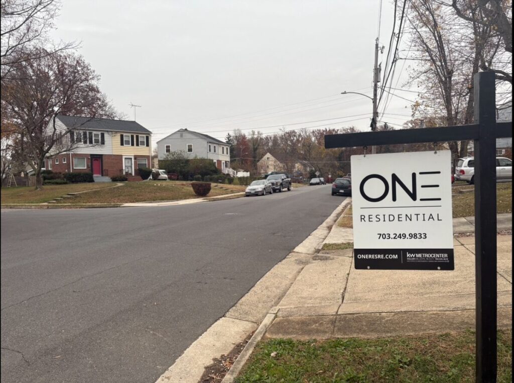 Lead Story - Dogwood