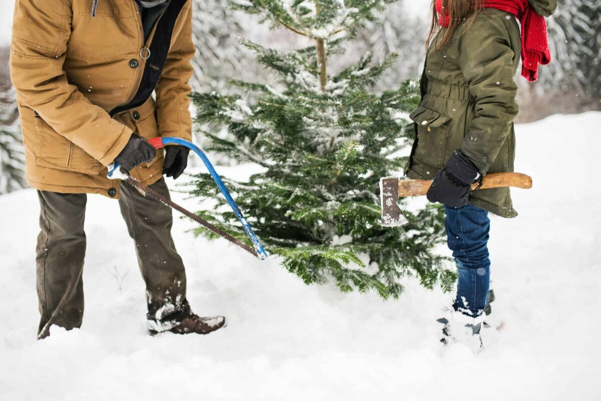 Bundle up for the 9 best cut-your-own tree farms in Virginia Bundle up for the 9 best cut-your-own tree farms in Virginia