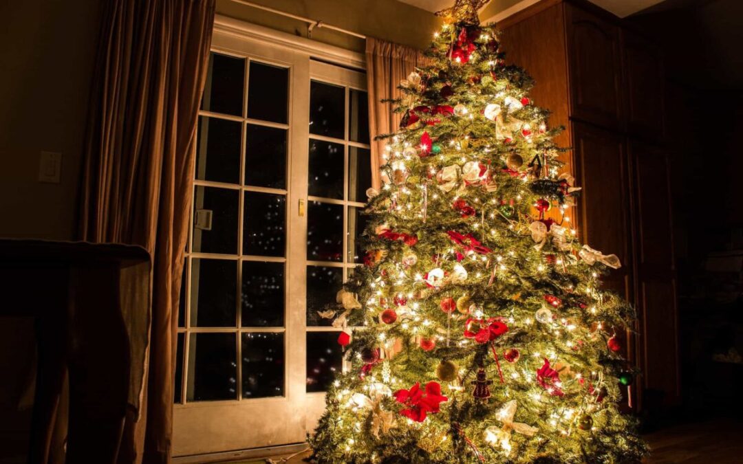 Don’t trash that tree! CVWMA offers free recycling instead