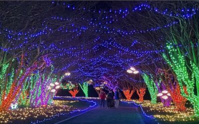 15 Virginia holiday light displays you won’t see anywhere else