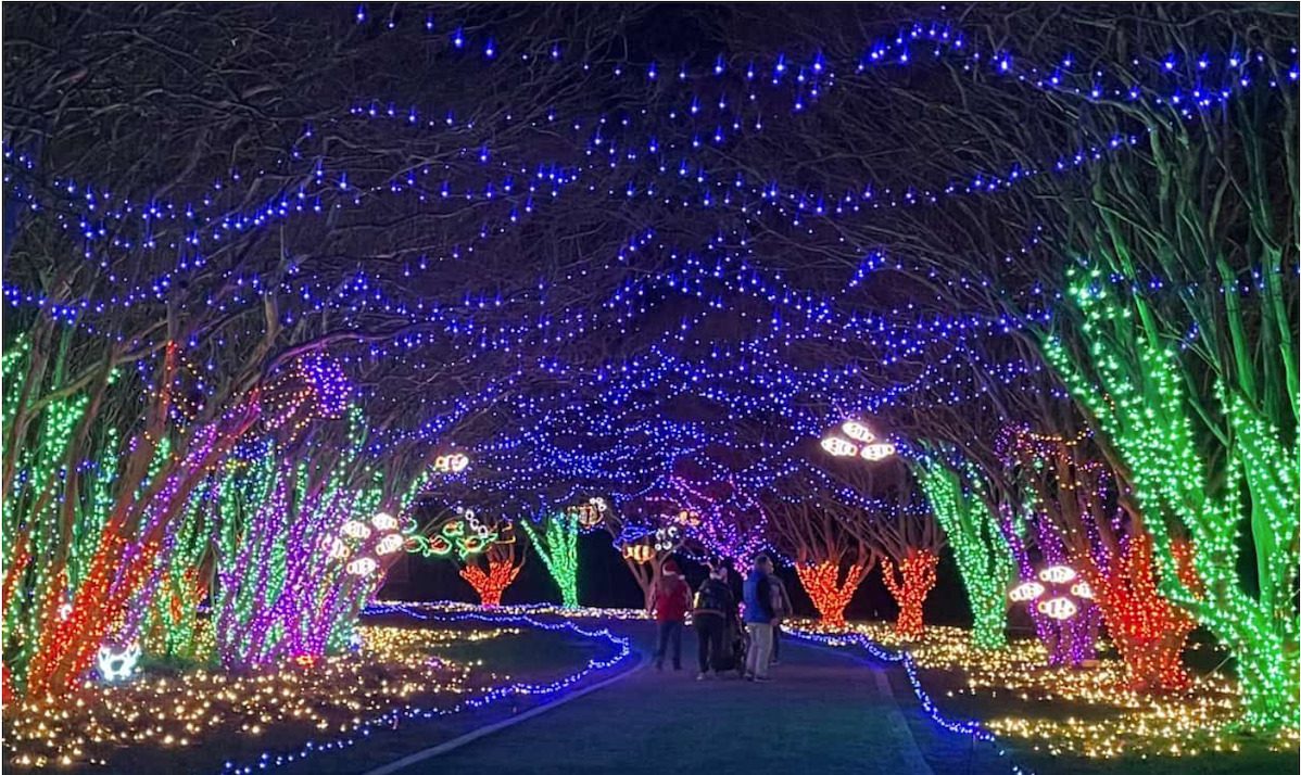 15 Virginia holiday light displays you won’t see anywhere else