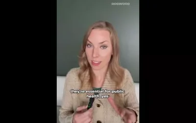 Youngkin plays rural healthcare hero after supporting Medicaid cuts