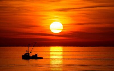 The Chesapeake Bay Watermen: Inside the dying tradition (+ how to help keep it alive)