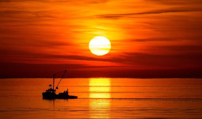 From blue crabs to oysters, Chesapeake Bay watermen have been fishing the waters off the coast of Virginia for generations.