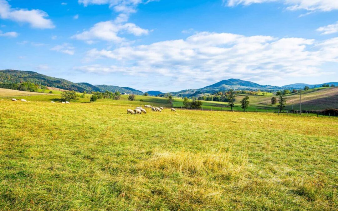 Why March is the perfect time to visit Monterey, VA’s Swiss-like secret