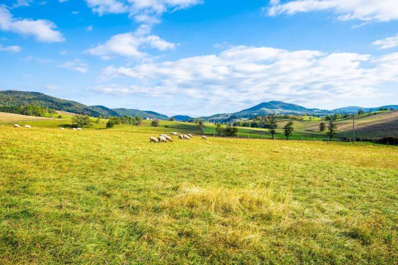 Hidden away in mountainous Highland County, Monterey earns its “Virginia’s Little Switzerland” moniker year-round, but March is when the town really sets itself apart.