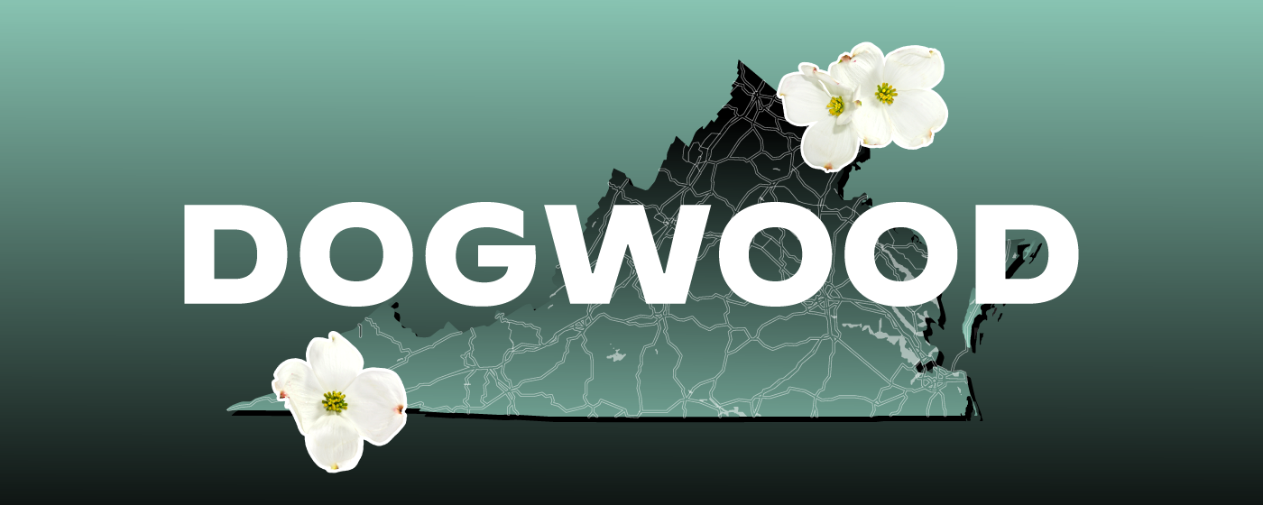 Dogwood