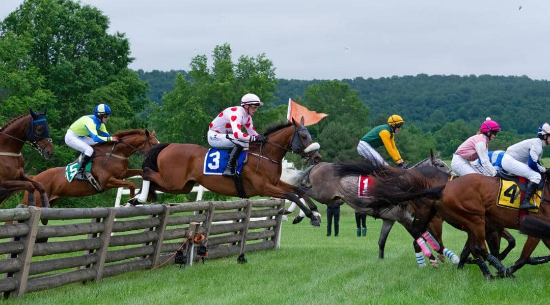 The Virginia Gold Cup: Get ready for the 2026 steeplechase season