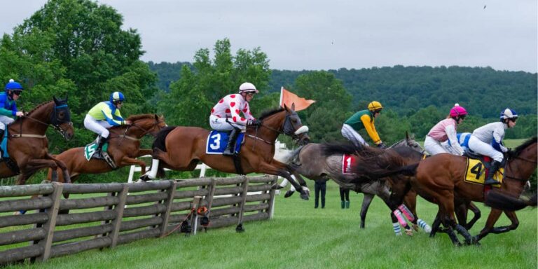 The Virginia Gold Cup is where steeplechasing in Virginia reaches its zenith.