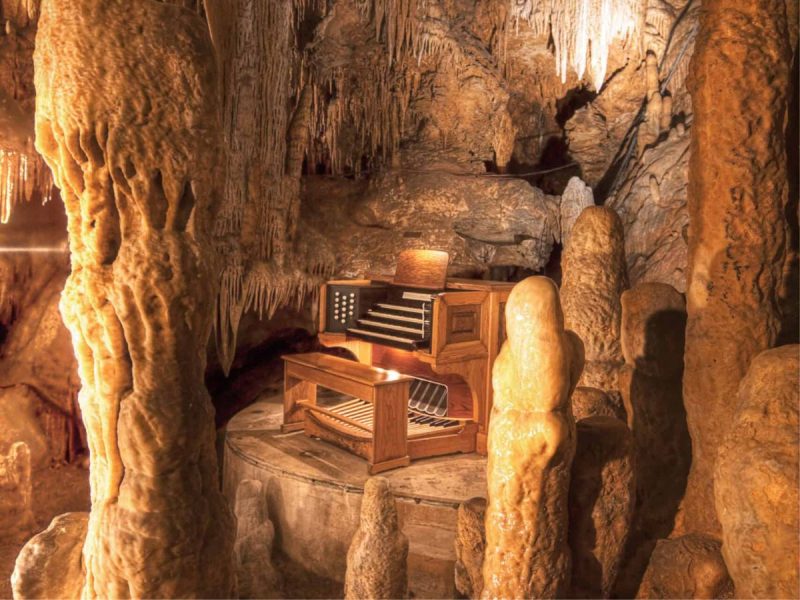 There is a wide variety of Guinness World Record holders in the Dogwood State, including individuals (and animals), record-breaking groups and gatherings, and extraordinary inanimate objects.