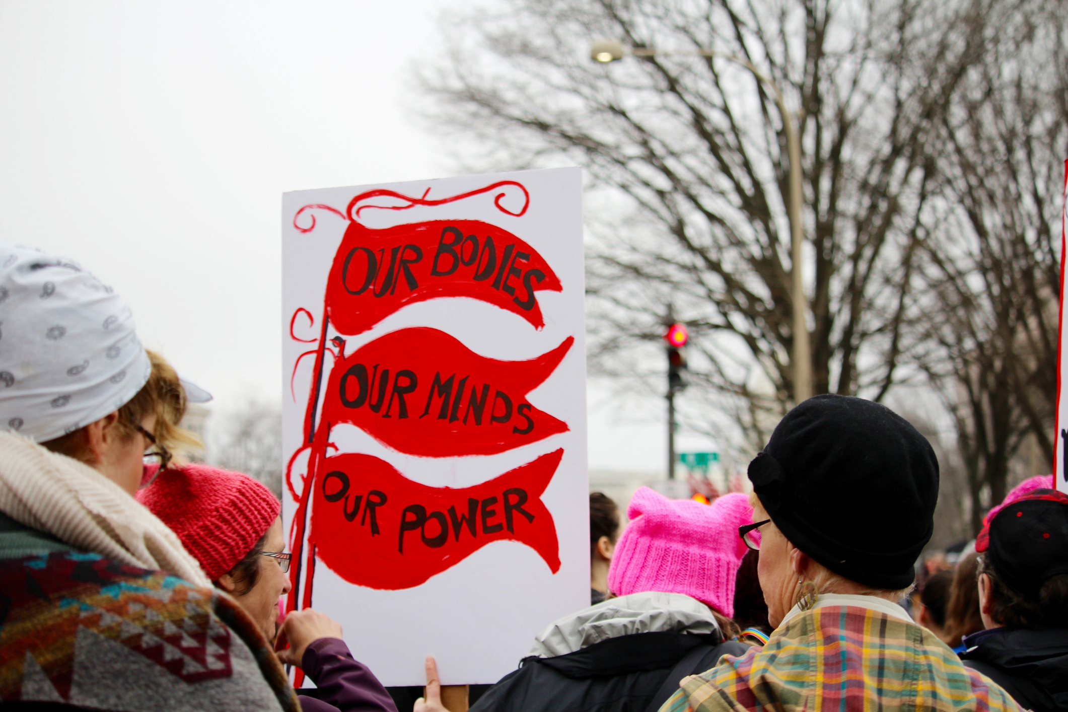 Your weekly guide to taking action in Virginia (May 15 – May 21)
