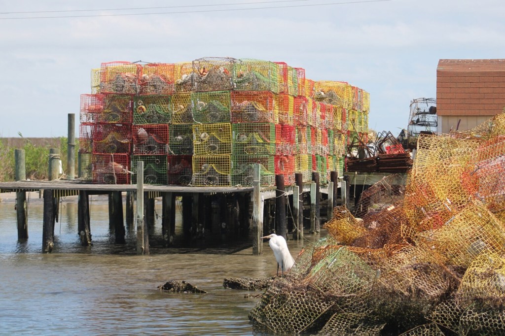 Piles of crabbing gear on Tangier Island