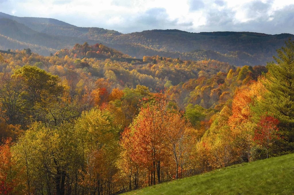 Where to find the 15 most scenic areas for dispersed camping in Virginia