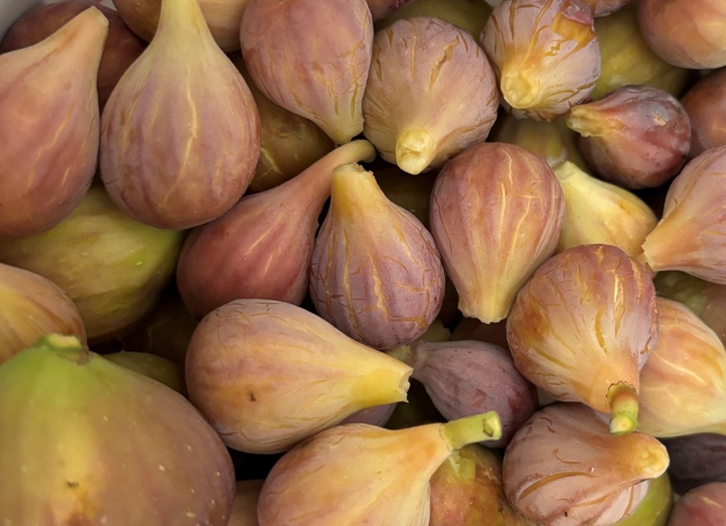 farmers markets in the Tri City area